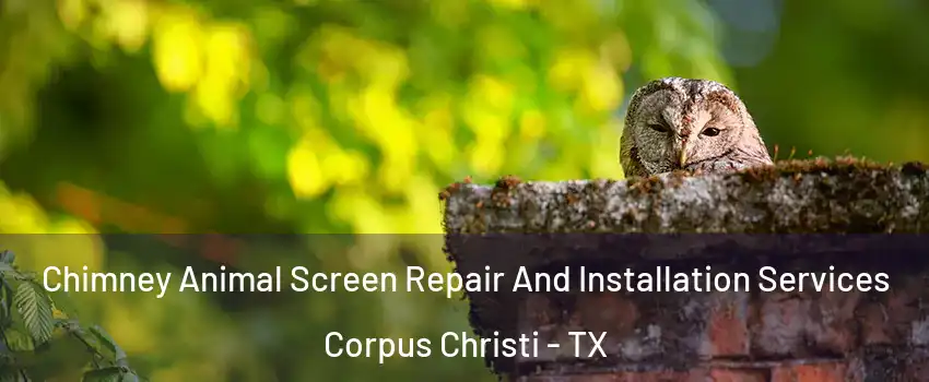  Chimney Animal Screen Repair And Installation Services Corpus Christi - TX