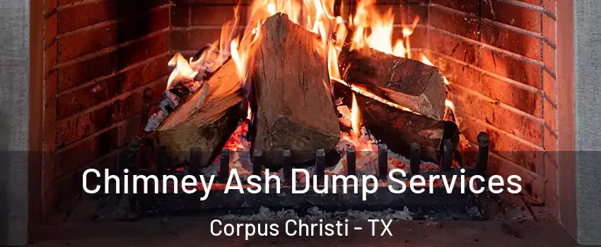  Chimney Ash Dump Services Corpus Christi - TX