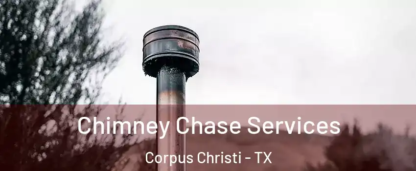  Chimney Chase Services Corpus Christi - TX