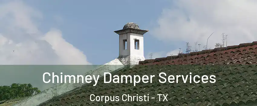  Chimney Damper Services Corpus Christi - TX