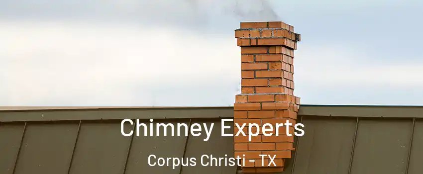  Chimney Experts Corpus Christi - TX