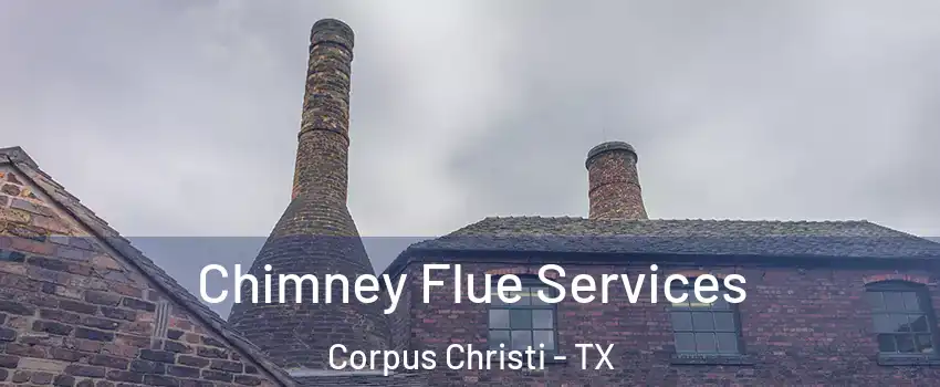  Chimney Flue Services Corpus Christi - TX