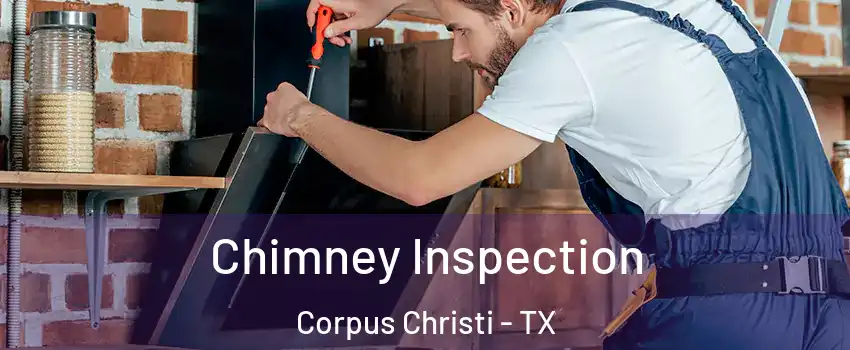 Chimney Inspection Corpus Christi - TX