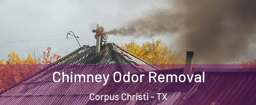  Chimney Odor Removal Corpus Christi - TX