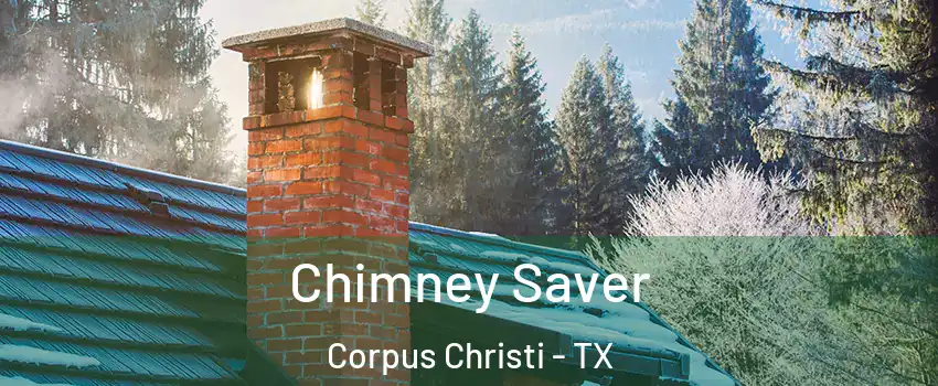  Chimney Saver Corpus Christi - TX