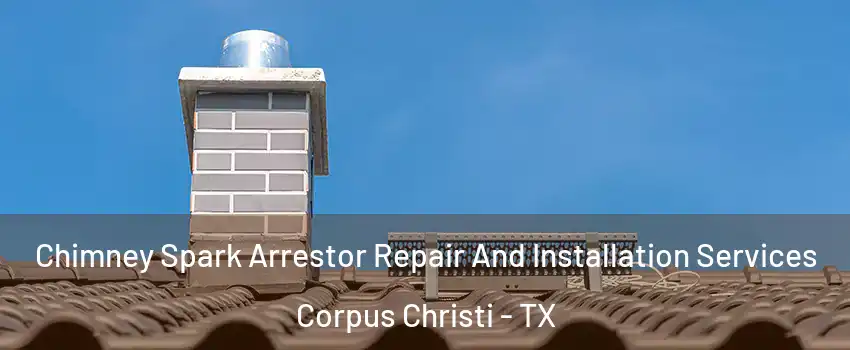  Chimney Spark Arrestor Repair And Installation Services Corpus Christi - TX