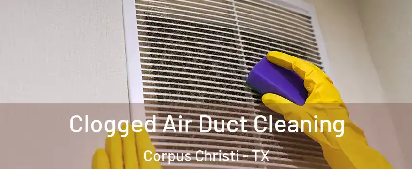  Clogged Air Duct Cleaning Corpus Christi - TX