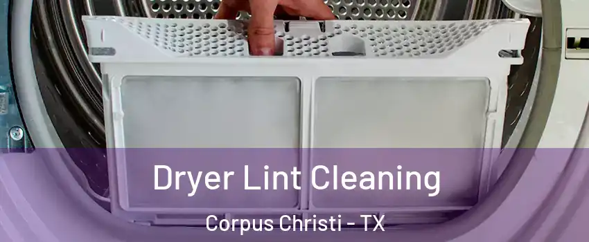  Dryer Lint Cleaning Corpus Christi - TX