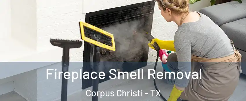  Fireplace Smell Removal Corpus Christi - TX