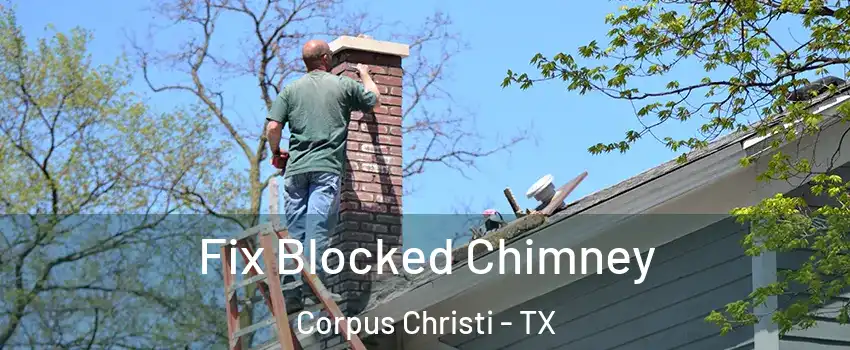  Fix Blocked Chimney Corpus Christi - TX