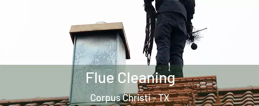 Flue Cleaning Corpus Christi - TX
