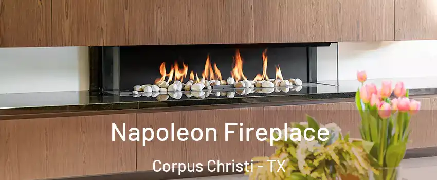  Napoleon Fireplace Corpus Christi - TX