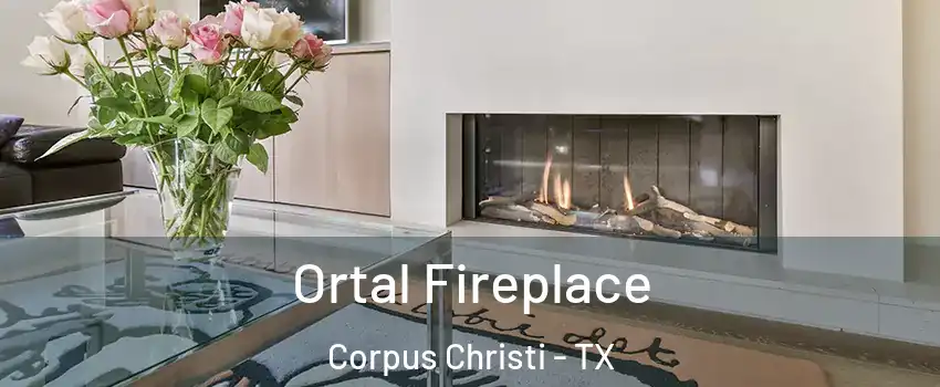  Ortal Fireplace Corpus Christi - TX
